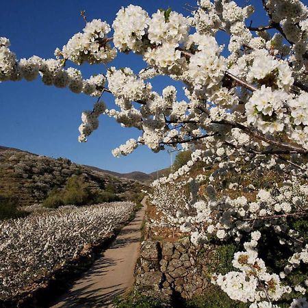 Casas del Monte Casa Rural Arbequina, Refugio De Primavera المظهر الخارجي الصورة
