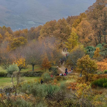 Casas del Monte Casa Rural Arbequina, Refugio De Primavera المظهر الخارجي الصورة
