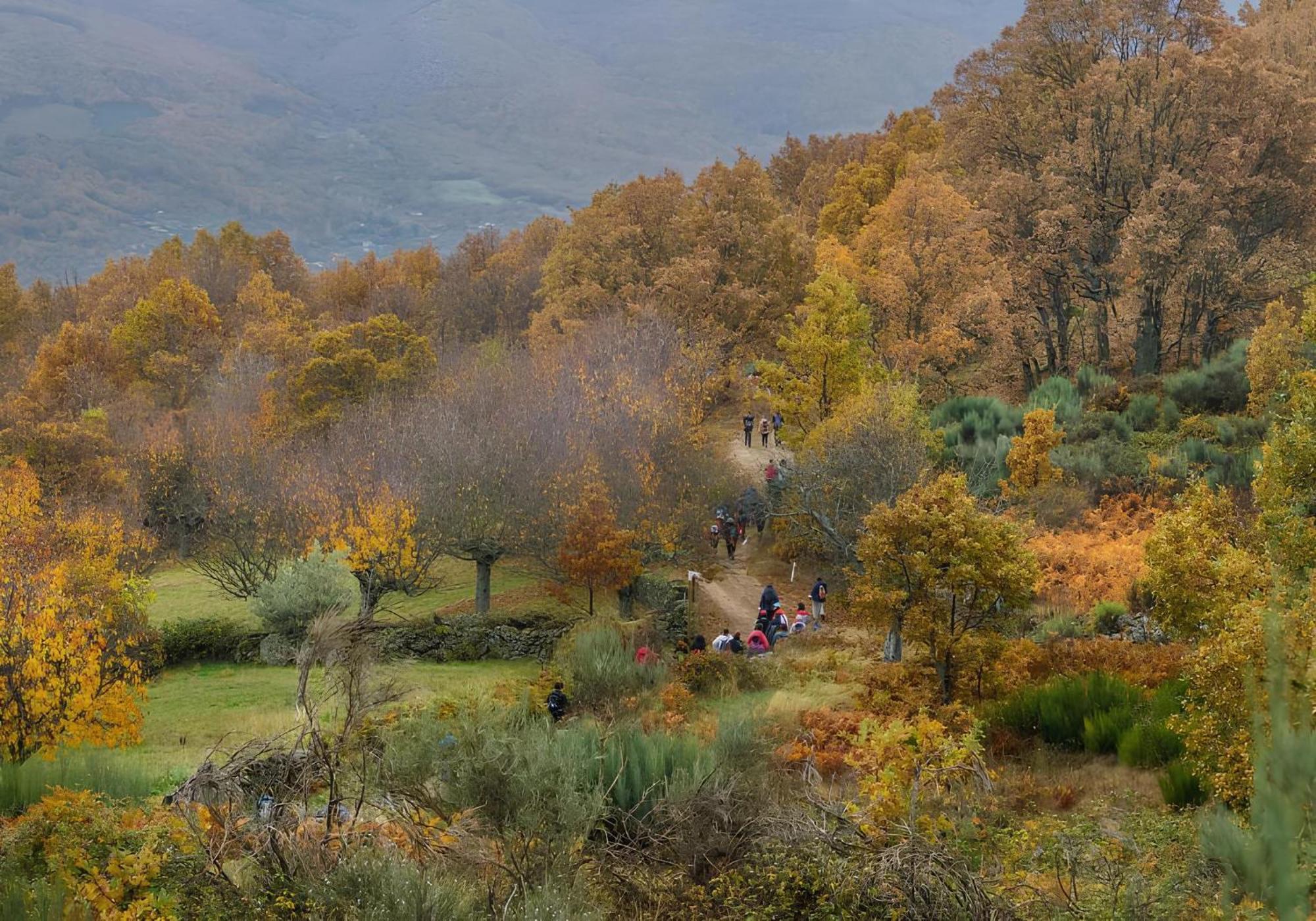 Casas del Monte Casa Rural Arbequina, Refugio De Primavera المظهر الخارجي الصورة