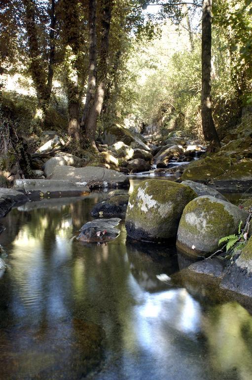 Casas del Monte Casa Rural Arbequina Despierta Tus Sentidos En El Valle Del Ambroz الغرفة الصورة